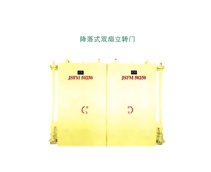 江苏降落式双扇立转门