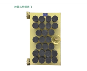 江苏胶管式防爆活门